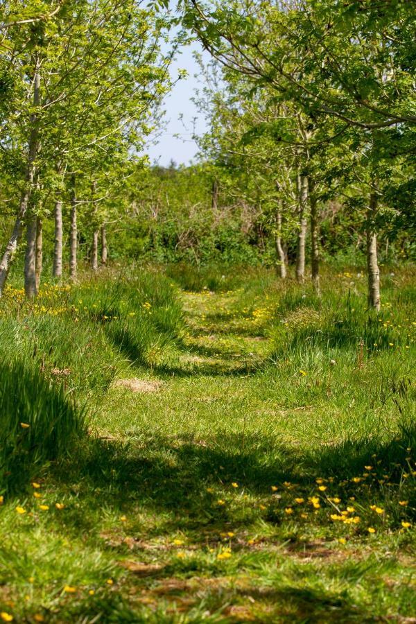 Ty Pren Bach Villa Maenclochog Eksteriør bilde